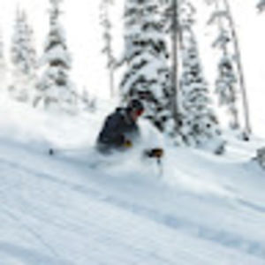 Meet your Posher, Brad